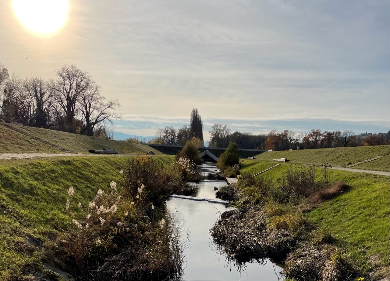 Image automne