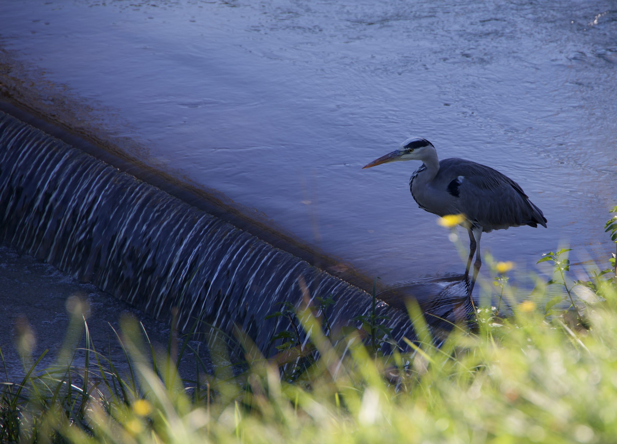 Crédits photo: Eveline